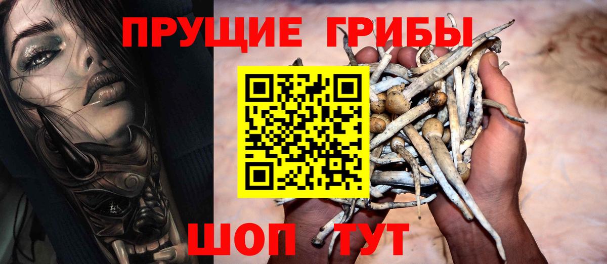 Псилоцибиновые грибы Magic Shrooms  Вход с VPN  Иркутск 