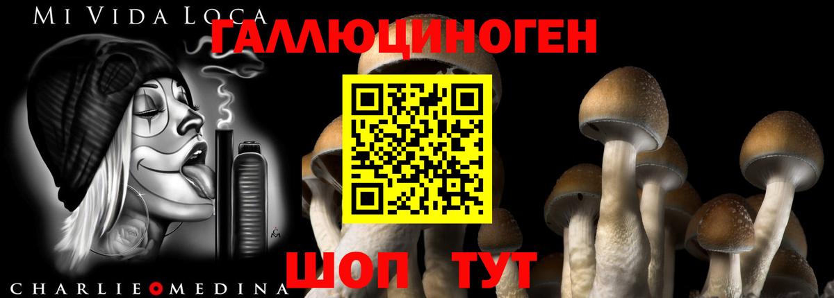 Галлюциногенные грибы ЛСД Иркутск